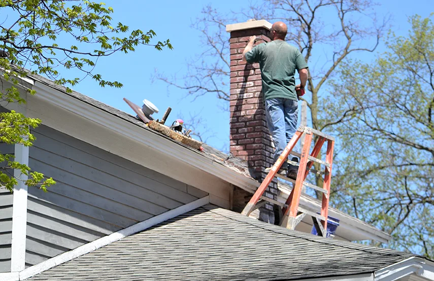 Chimney & Fireplace Inspections Services in Brunswick, GA